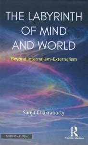The Labyrinth of Mind and World: Beyond Internalism-Externalism: Buy ...