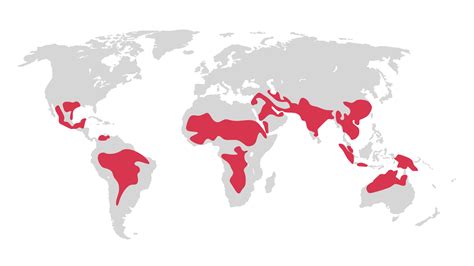 Global Climate 的图像结果