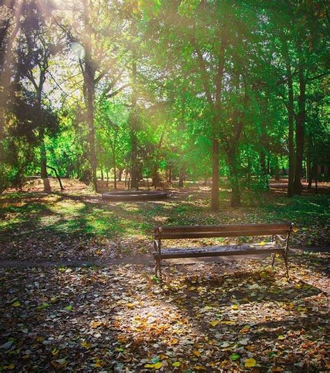 PARK BLANDAS - All You Need to Know BEFORE You Go 2026 (with Photos ...