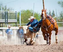 Image result for bulldogging