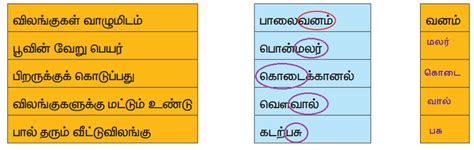 நீதிநெறி விளக்கம்: கேள்விகள் மற்றும் பதில்கள் - பருவம் 3 இயல் 7 | 4 ஆம் ...