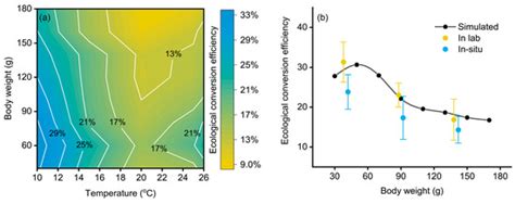 Assessing the Ecological Conversion Efficiency of Chub Mackerel, Somber ...
