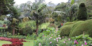 A Glimpse of Sri Lanka: My First International Post Covid-19 Trip ...