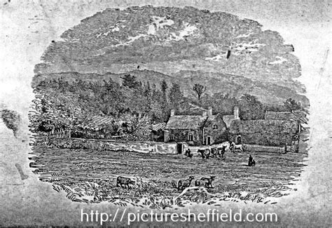 Searching Picture Sheffield