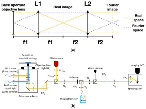 Measuring Photonics in Photosynthesis: Combined Micro-Fourier Image ...