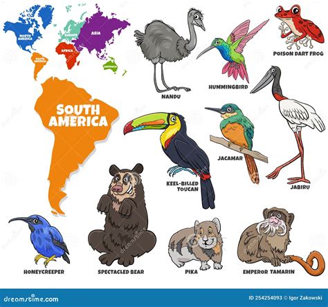 South America Animals With Names at Wilhelmina Davis blog