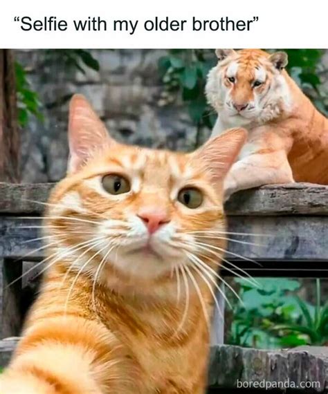 Image result for Writing Program Code On Paper Meme
