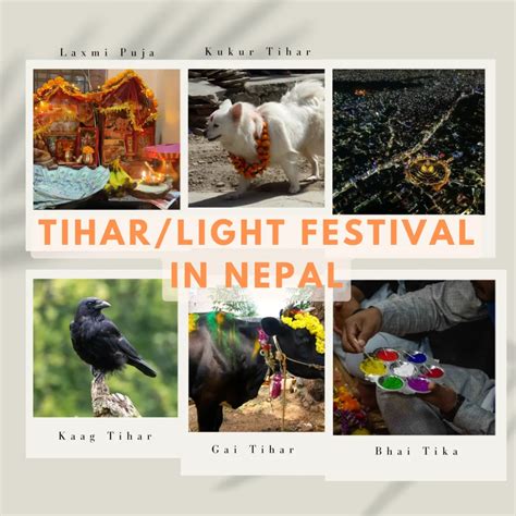 Tihar Festival Nepal | Light Festival 2025, 2026 Dates