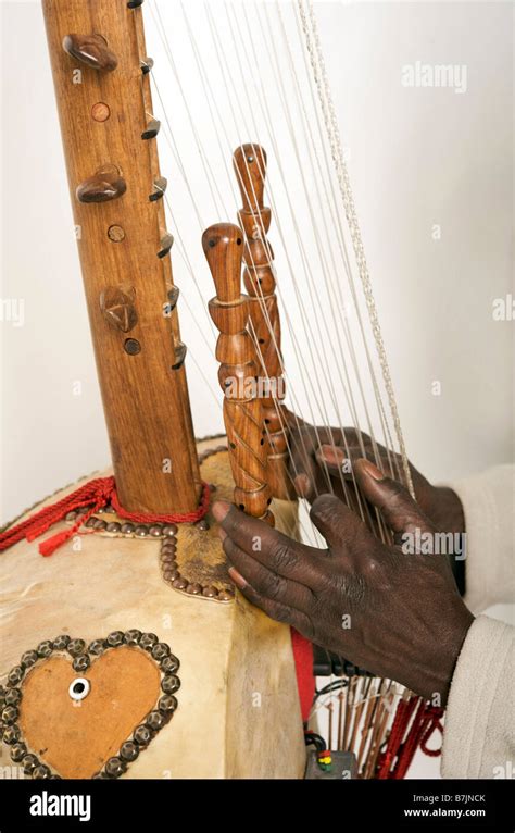 Image result for African String Instruments