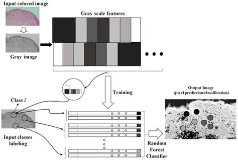 Diagnostics | Special Issue : Artificial Intelligence in Pathological ...