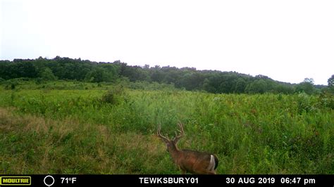 210 Acre Deer Buffet in Pike County, Ohio - Hunting Leases ...