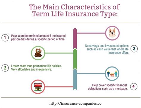 Life Insurance Explained 的图像结果