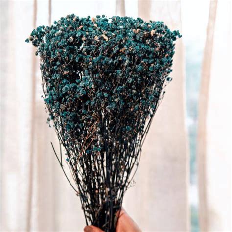 Royal blue baby breaths – https://artecasa.in/