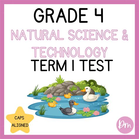 Grade 7 Technology Projects 的图像结果