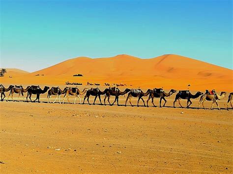 VIEW MOROCCO TOURS (2026) All You Need to Know BEFORE You Go (with ...