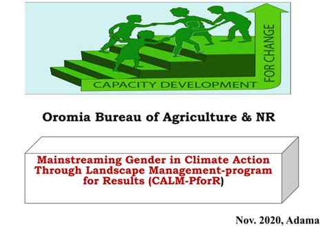 Image result for Gender Mainstreaming PowerPoint