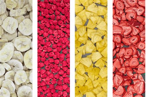 How To Freeze Dry Fruit: Discover more than Strawberries ...