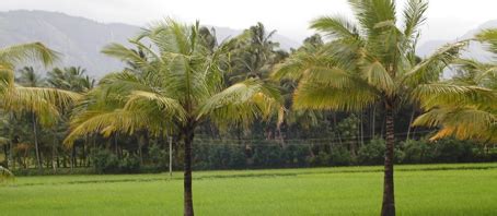 Uttukuli Budget Packages, Uttukuli Budget Tour, Uttukuli Budget Package