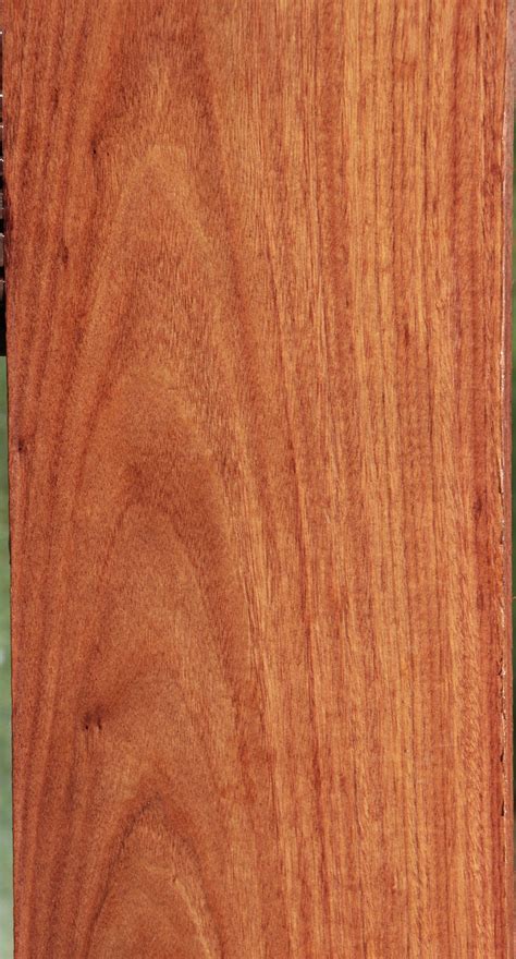 Santos Mahogany Lumber - Cook Woods