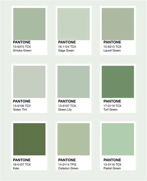 Image result for Deep Green Color Code