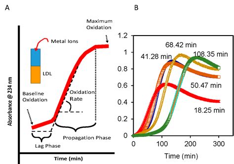 Lipoprotein-Associated Oxidative Stress: A New Twist to the ...