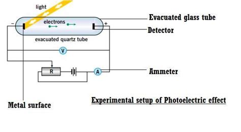 6. Draw neat labelled diagram of schematic of experimental set up for ...