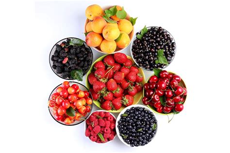 5 Ace fruits Sticker Poster|Kitched décor|Food Posters|size:12x18 inch ...