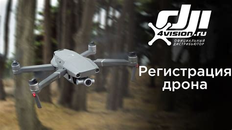 Электронная РЕГИСТРАЦИЯ дрона (2021г.) - DJI 4vision.mp4 смотреть ...