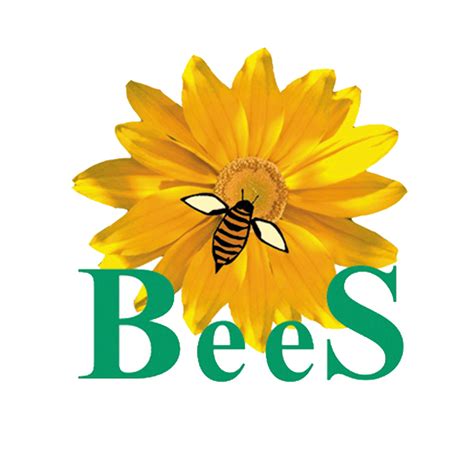 Bees Evaluation