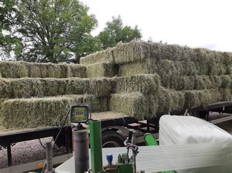 Heu Verkauf | Reitanlage & Heu Verkauf Fockenberg | Bottrop-Kirchhellen