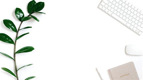 SCS Virtual Academy | Login