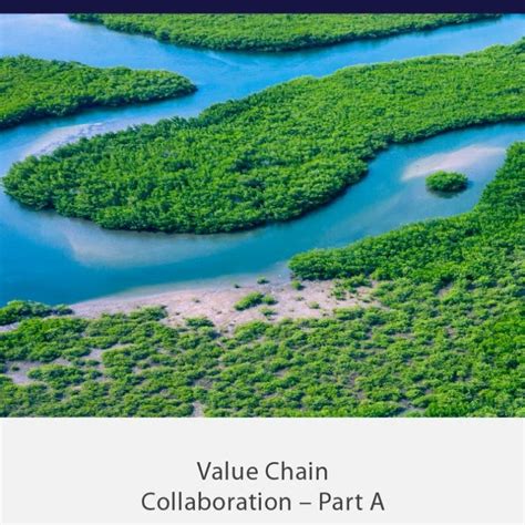 Value Chain 的图像结果