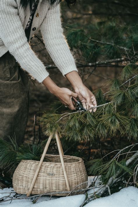 The Foraging Bundle – Herbal Academy