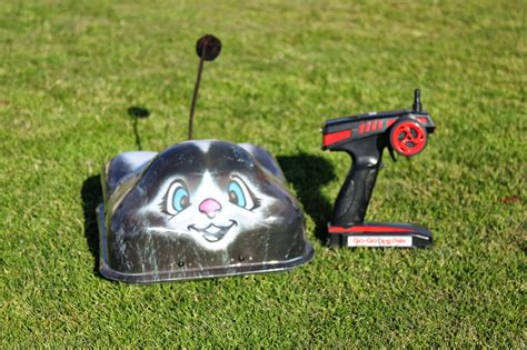 Image result for Remote Control Dog Toy