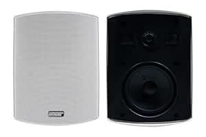 Earthquake Sound AWS-502W All-Weather Indoor/Outdoor Speakers (Matte ...