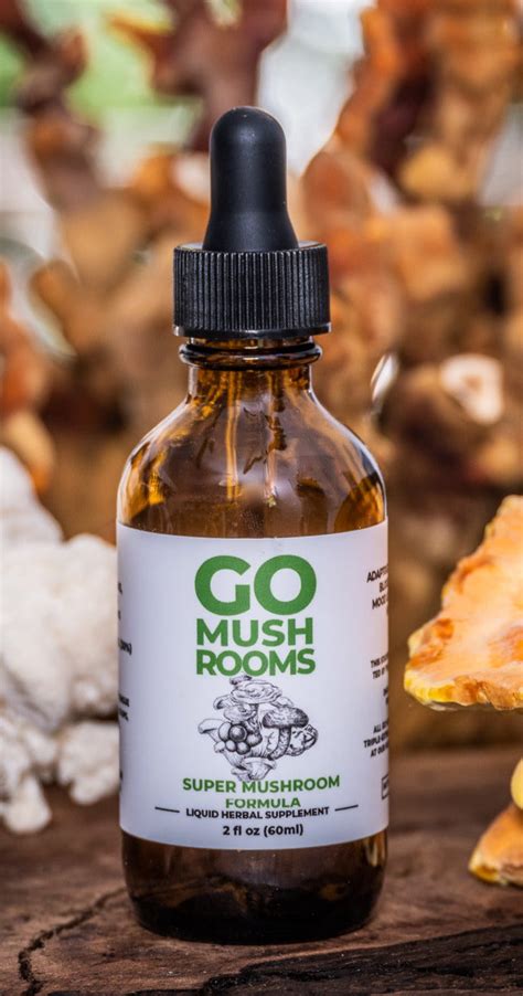 Image result for Hum Go