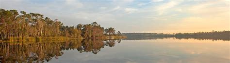 DISNEY AREA PLATINUM RESORT HOMES (Davenport) - Villa Reviews, Photos ...