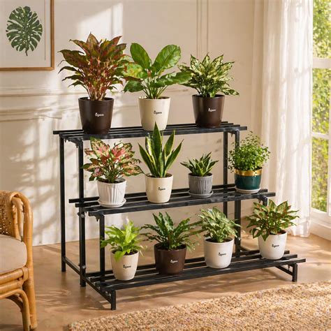 UGAOO Elevate 3-Tier Square Tube Heavy Duty Metal Plant Stand - Black ...