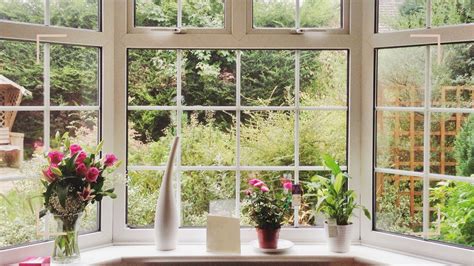 Image result for Beautiful Clean Windows