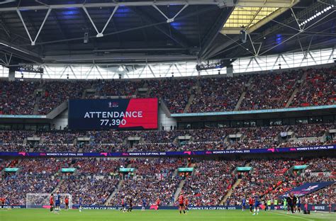 Image result for CWC Final Fan Girls Crowd