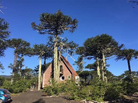 SENDAS CONGUILLIO (Melipeuco) - Campground Reviews & Photos - Tripadvisor