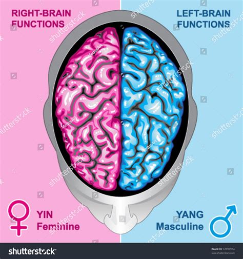 Right Brain Left Brain 的图像结果