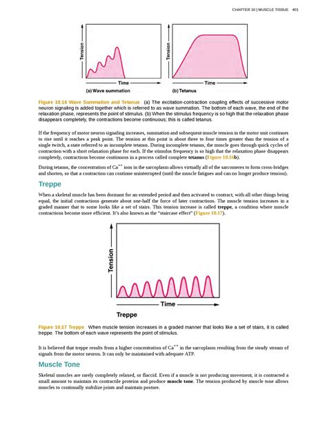 Image result for Wave Summation Graph