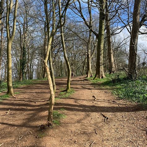 DUNSTONE WOODS AND PARK (2026) All You Need to Know BEFORE You Go (with ...