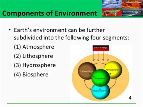 Image result for Environment