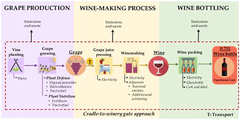 Environmental Impact Assessment of an Organic Wine Production in ...