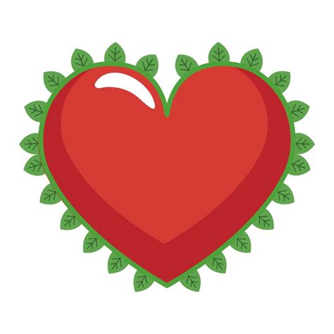 Caring for Air Plants 的图像结果