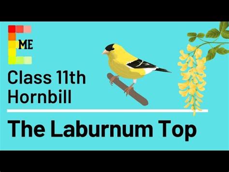 Summary: Poem 2 - The Laburnum Top Video Lecture - English Class 11