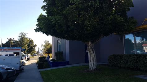 SAN BERNARDINO ADVANCED IMAGING - San Bernardino CA - Hours, Directions, Reviews - Loc8NearMe