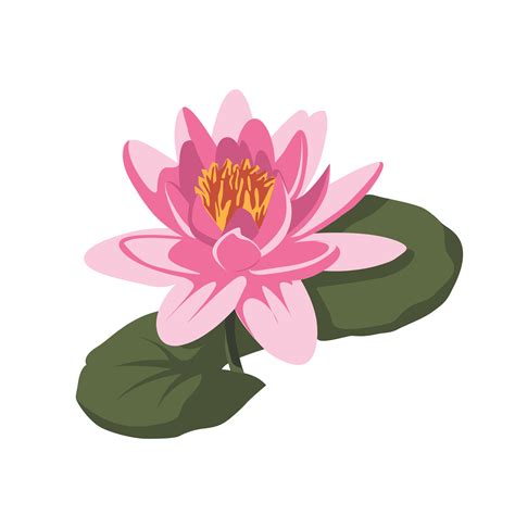 Lotus Art
